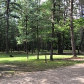 Review photo of Cook Forest State Park Campground by Erin H., June 19, 2017