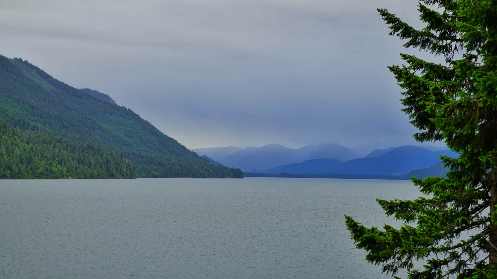 Camper submitted image from Kachess Campground - 3