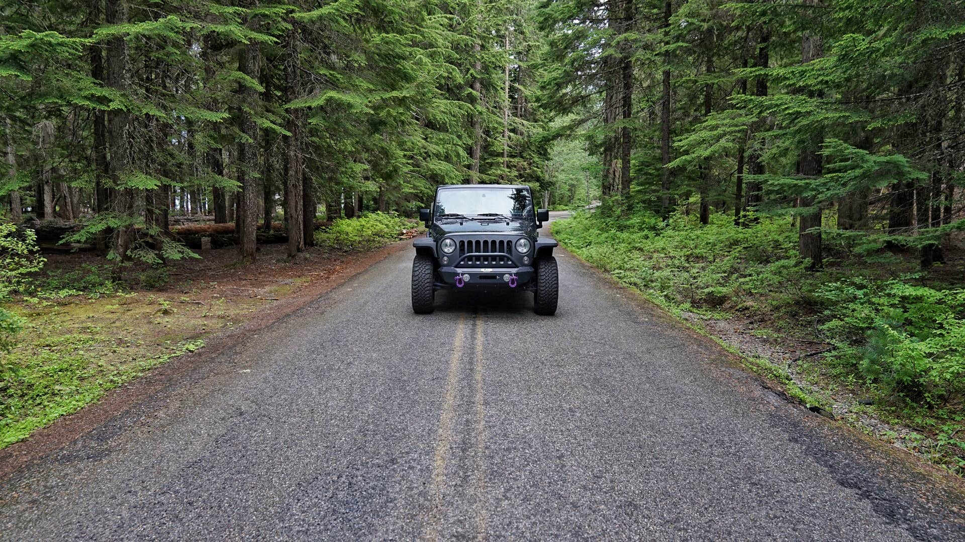 Camper submitted image from Kachess Campground - 2