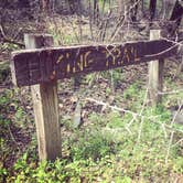 Review photo of Nails Creek Unit — Lake Somerville State Park by Gretchen N., June 21, 2016