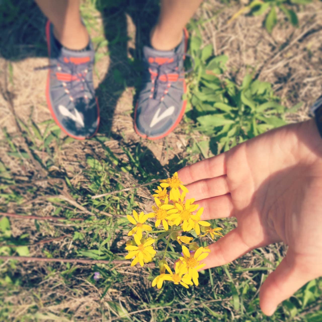 Camper-submitted photo at Lake Somerville State Park Nails Creek Unit Campground near Brenham, TX