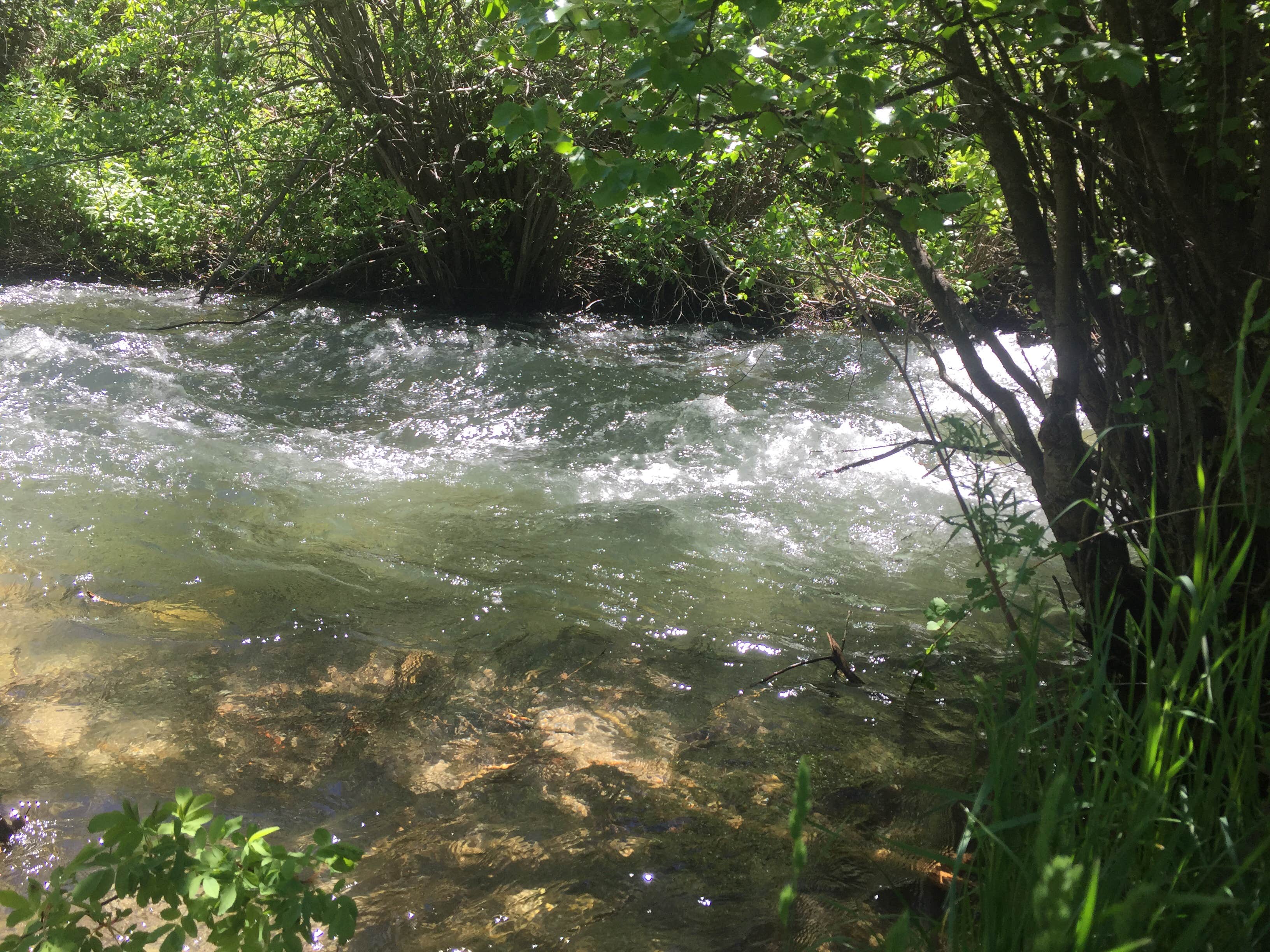 Camper submitted image from St. Charles Campground - 4
