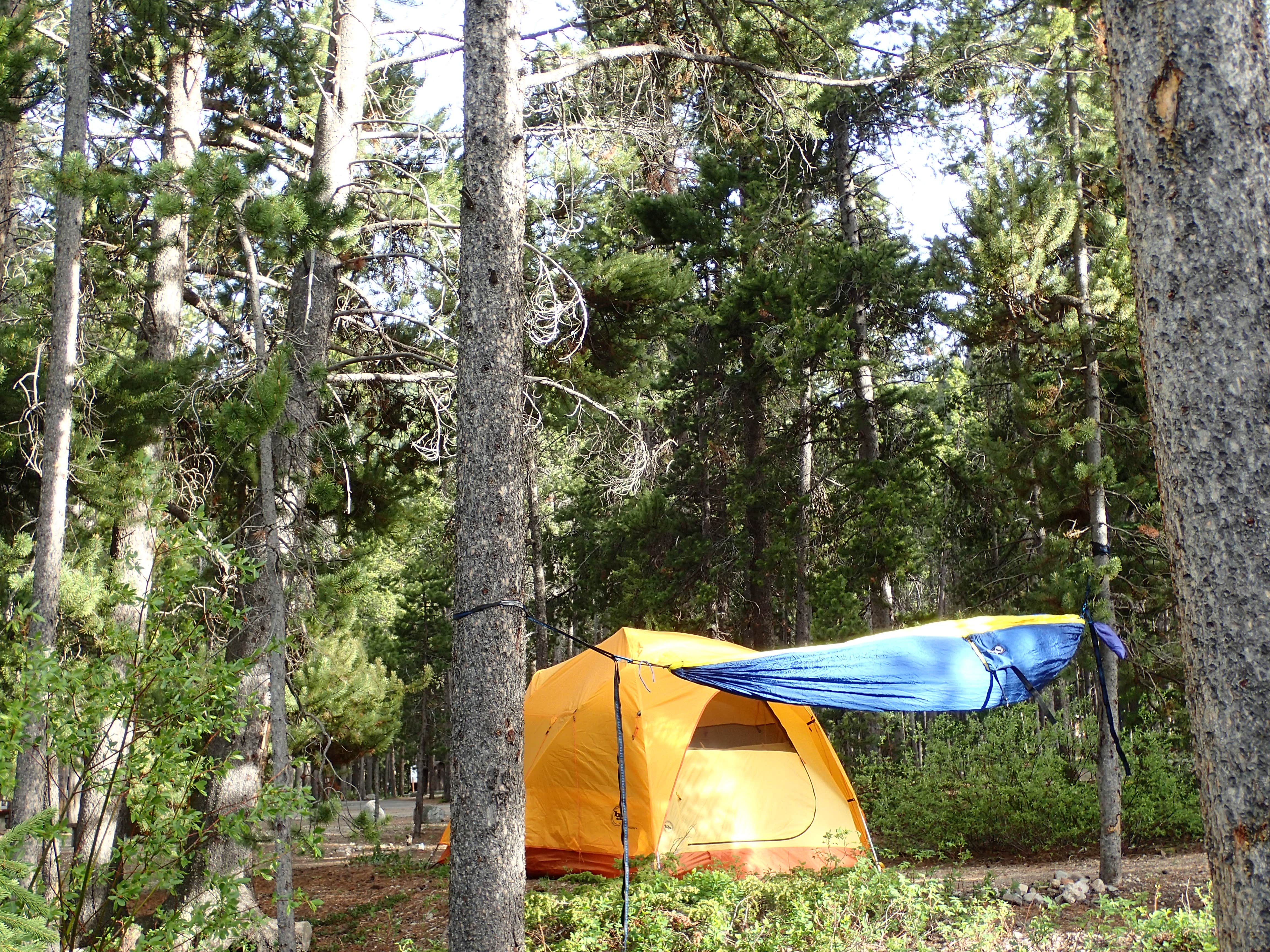Tonya Y.'s photo at Basin Campground near Roberts, MT