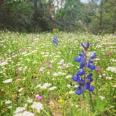 Review photo of Nails Creek Unit — Lake Somerville State Park by Gretchen N., June 21, 2016