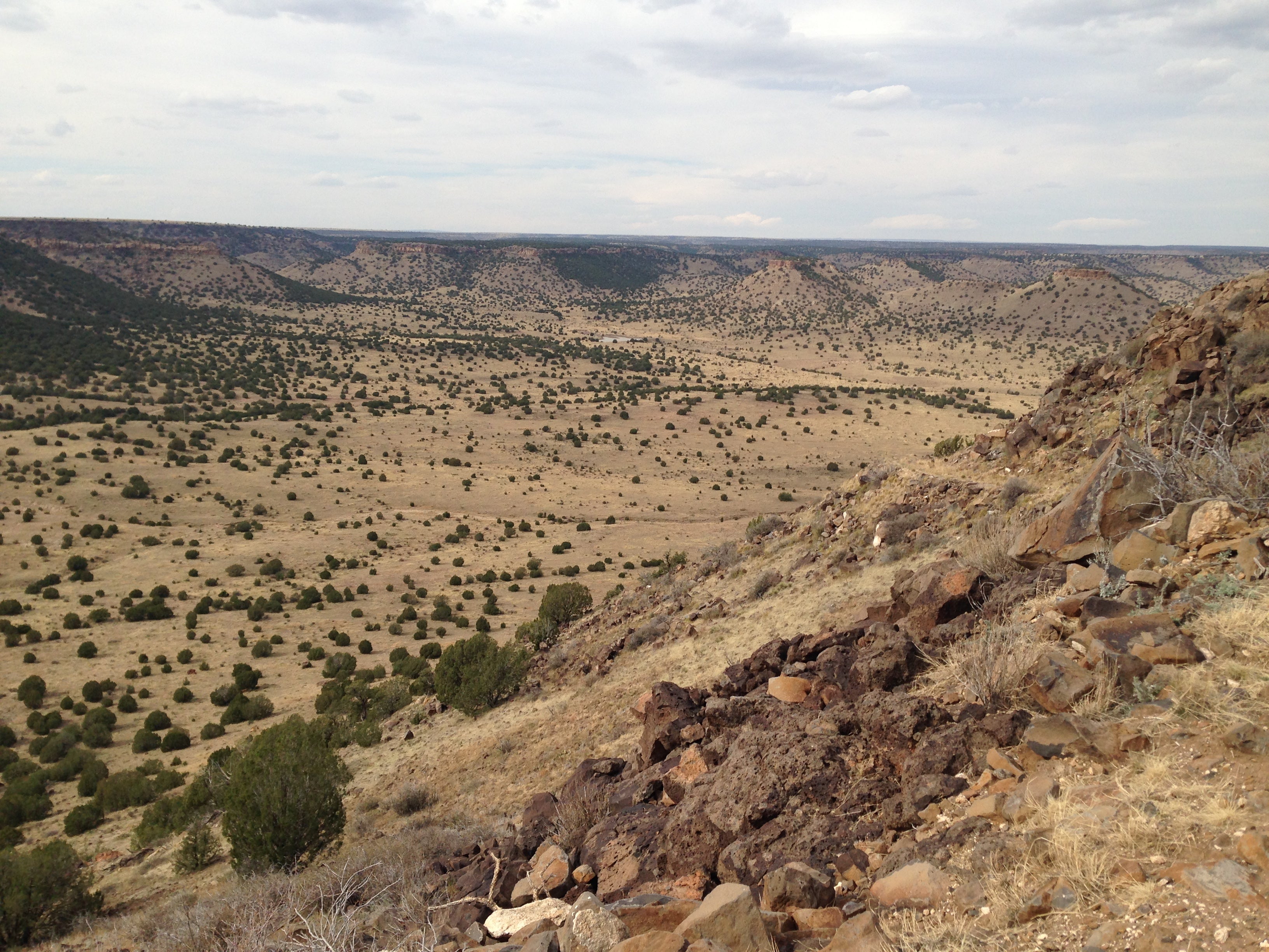 Camper submitted image from Black Mesa State Park - 2