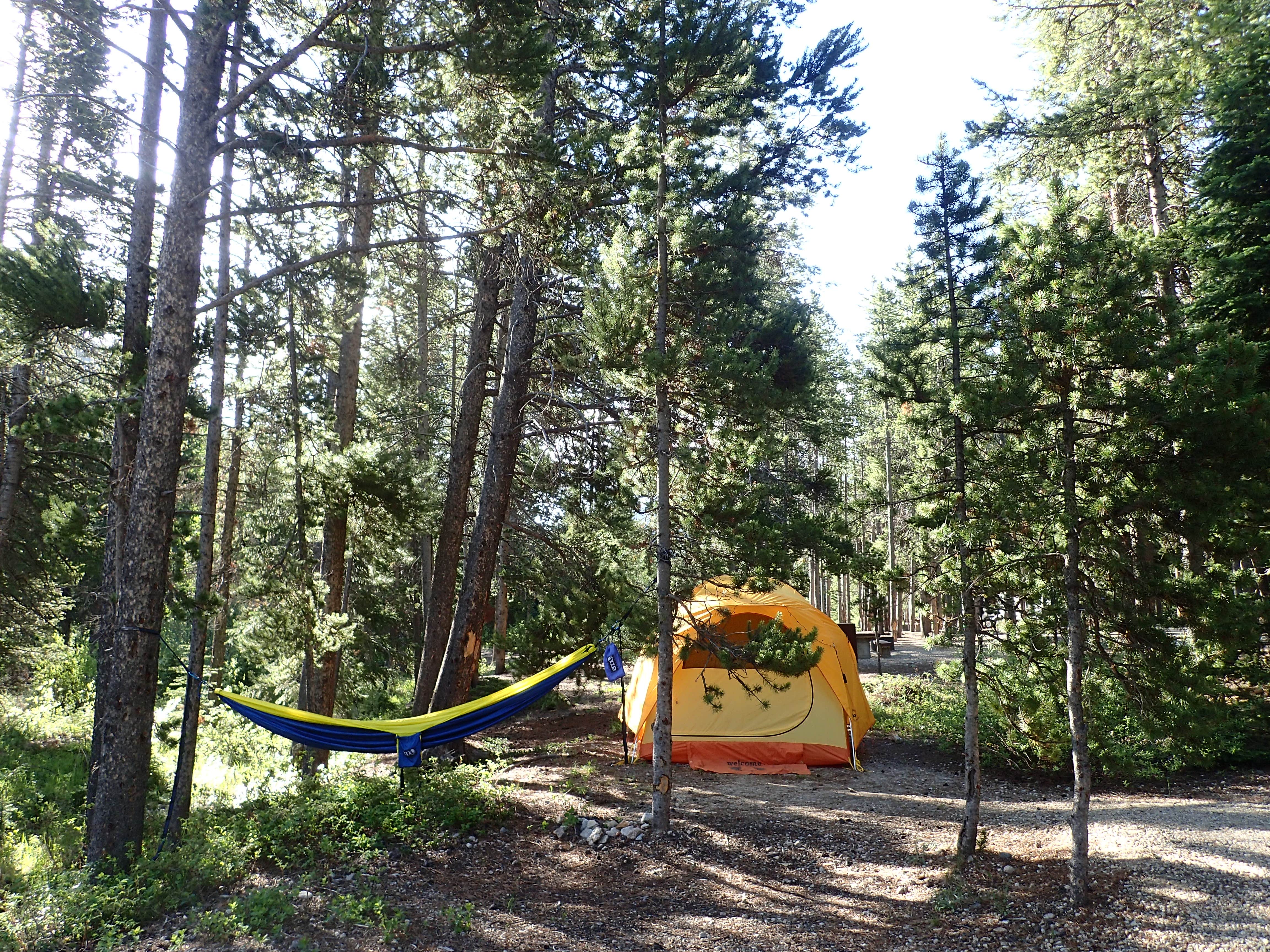Tonya Y.'s photo at Basin Campground near Fishtail, MT