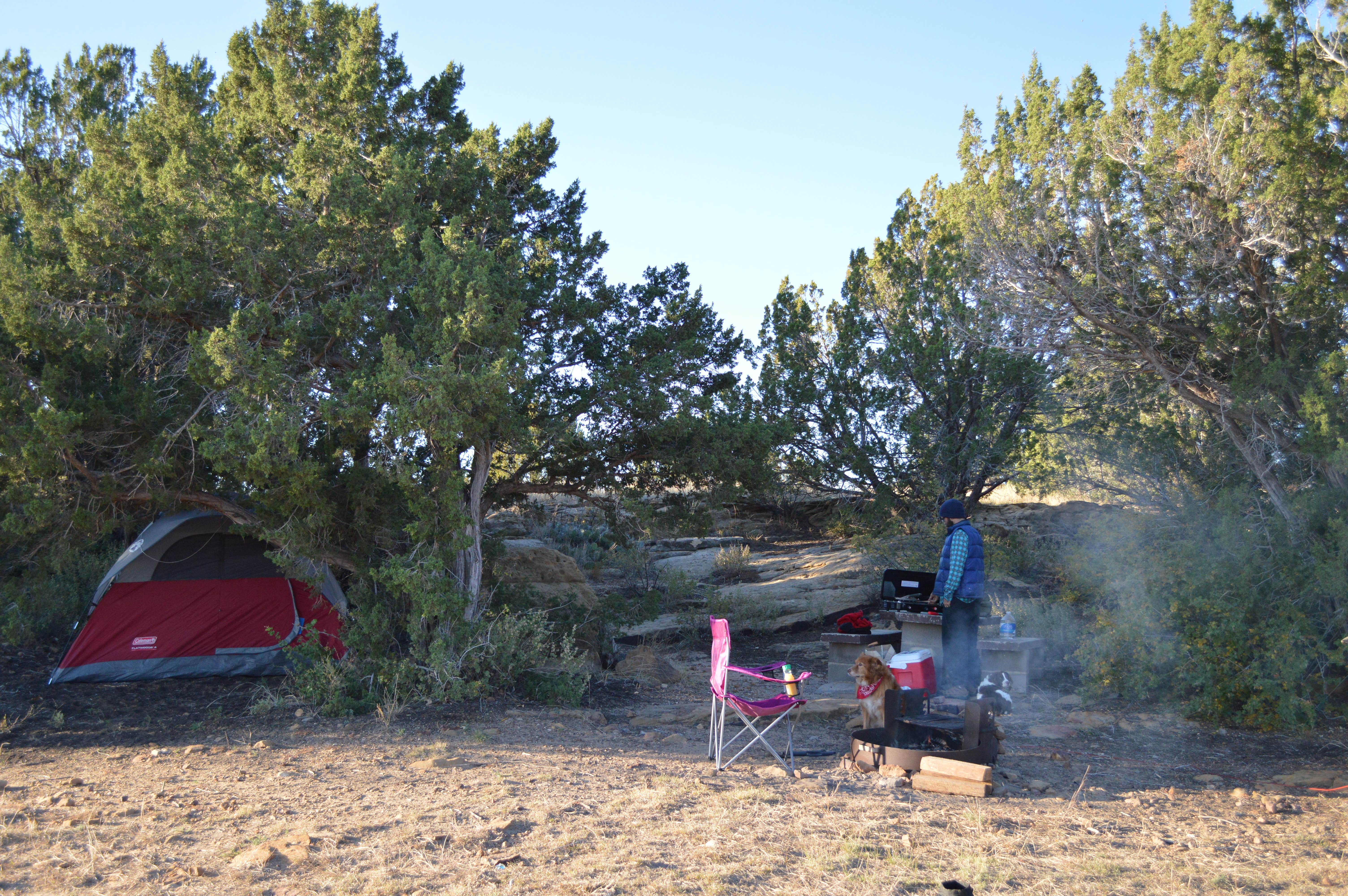Camper submitted image from Black Mesa State Park Campground - 3
