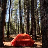 Review photo of Cold Springs Campground (OR) by Sarah S., June 19, 2017