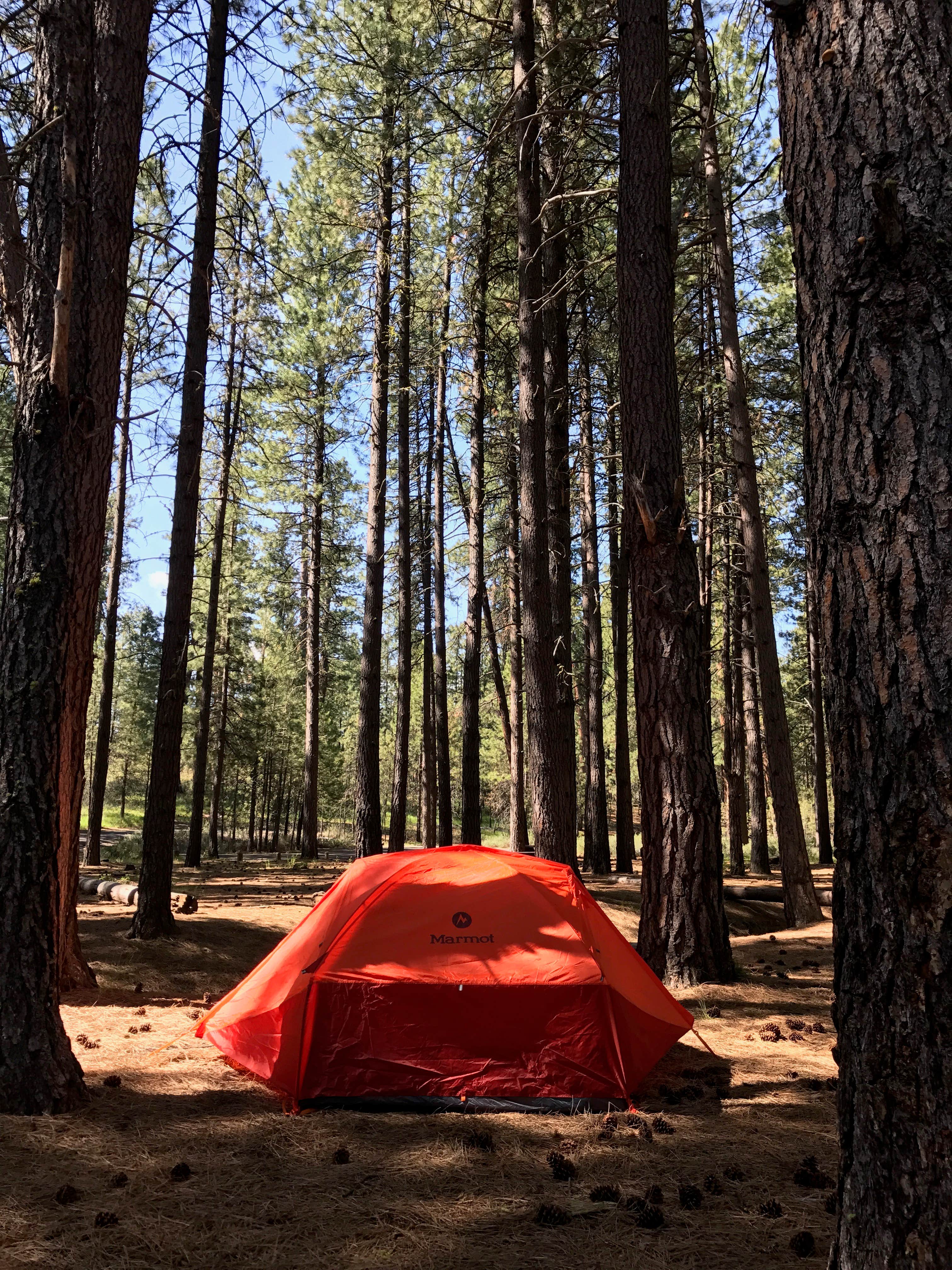 Camper submitted image from Cold Springs Campground (OR) - 4