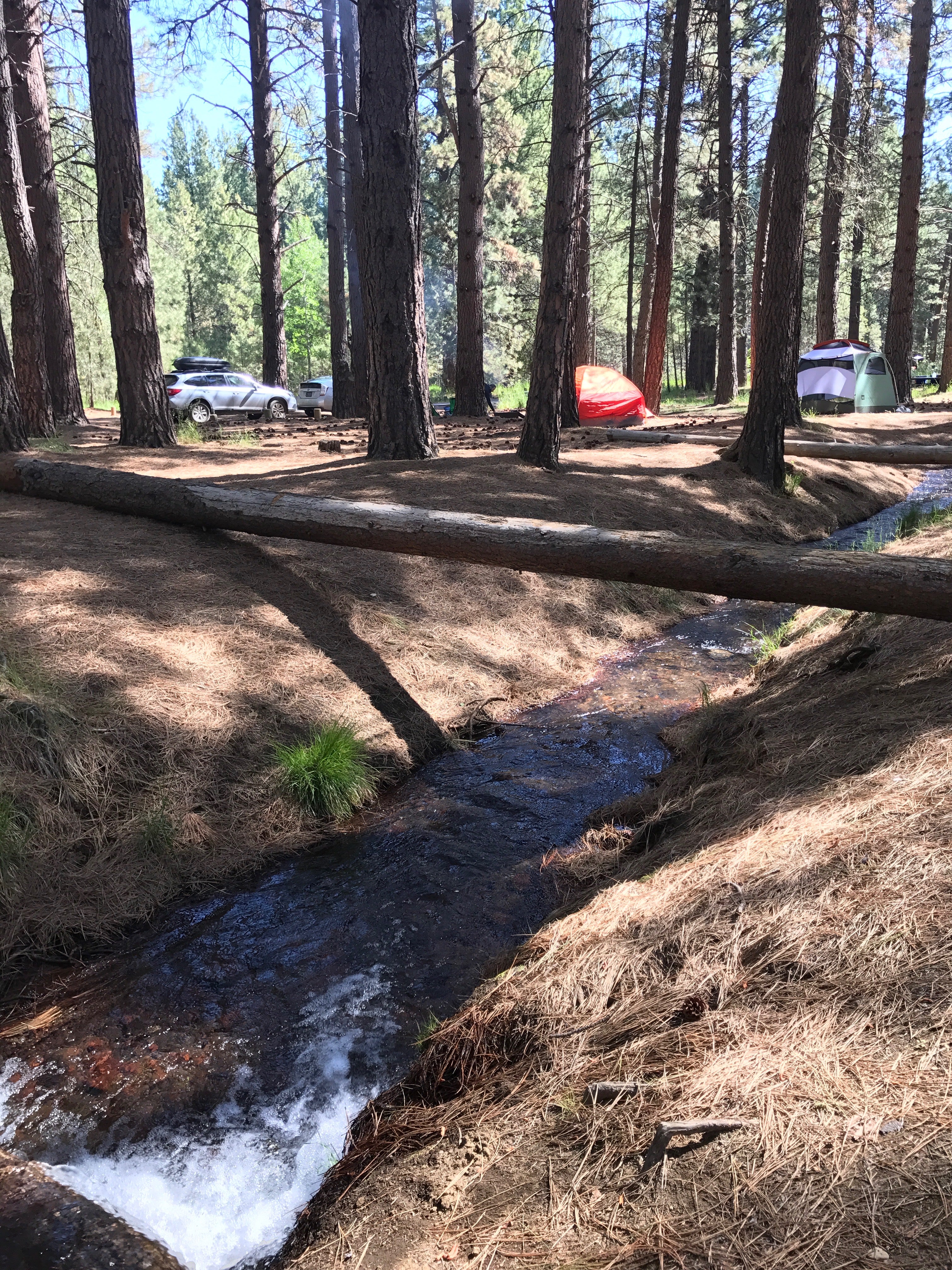 Camper submitted image from Cold Springs Campground (OR) - 1