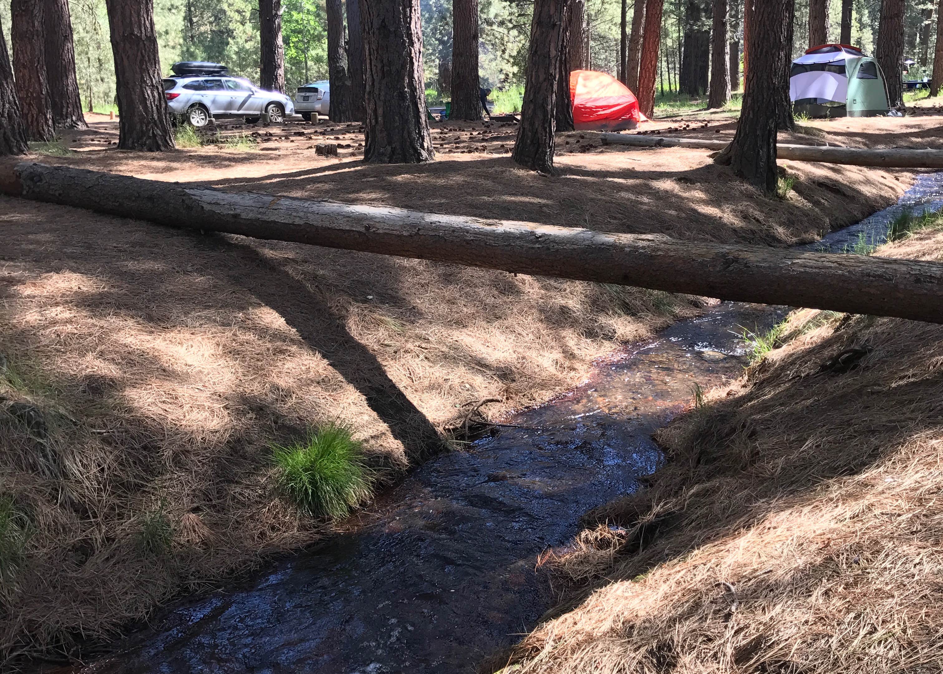 Cold Springs Campground Weare Nh - l0m27wa