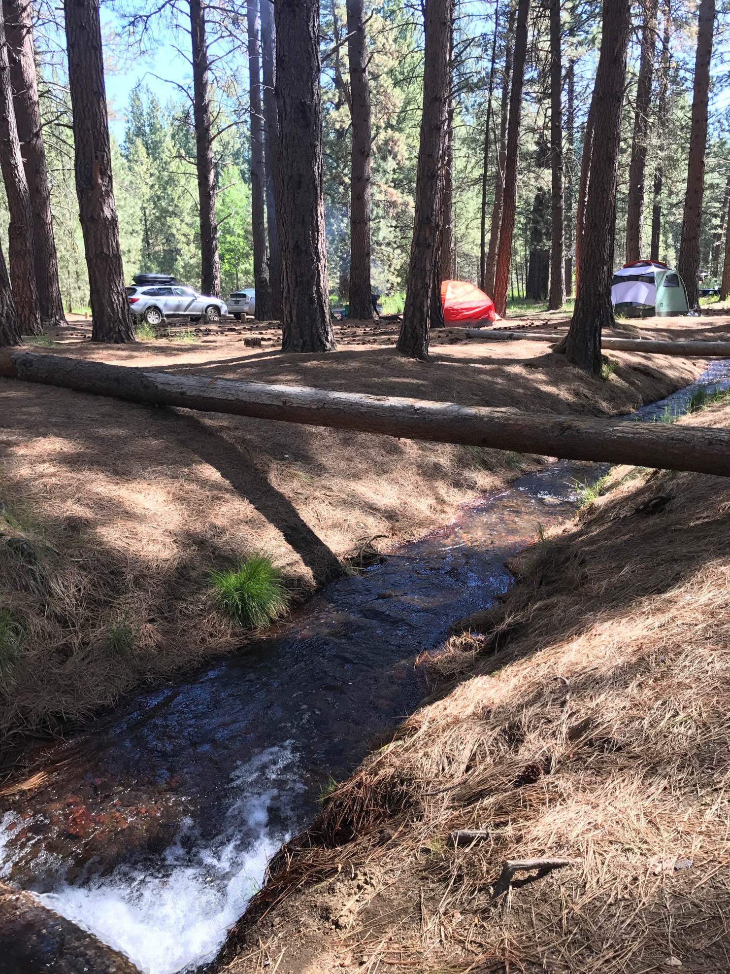 Cold Springs Campground Weare Nh - ejid79e