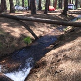 Review photo of Cold Springs Campground (OR) by Sarah S., June 19, 2017