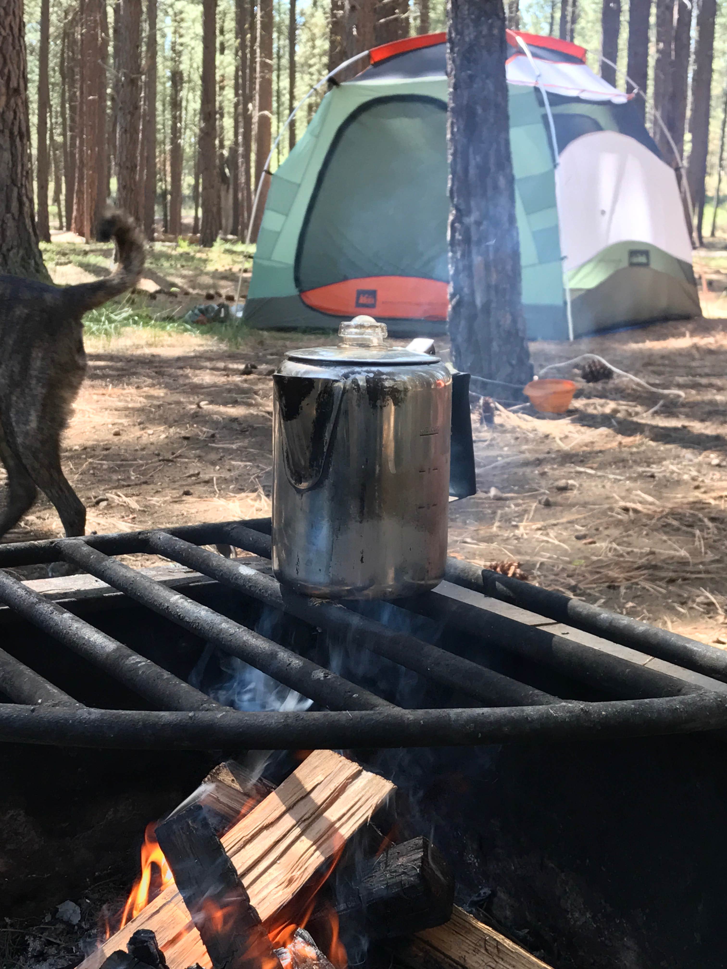 Sarah S.'s photo at Cold Springs Campground (OR) near Cloverdale, OR