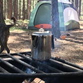 Review photo of Cold Springs Campground (OR) by Sarah S., June 19, 2017