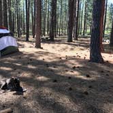 Review photo of Cold Springs Campground (OR) by Sarah S., June 19, 2017