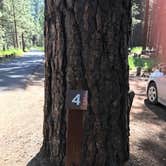 Review photo of Cold Springs Campground (OR) by Sarah S., June 19, 2017