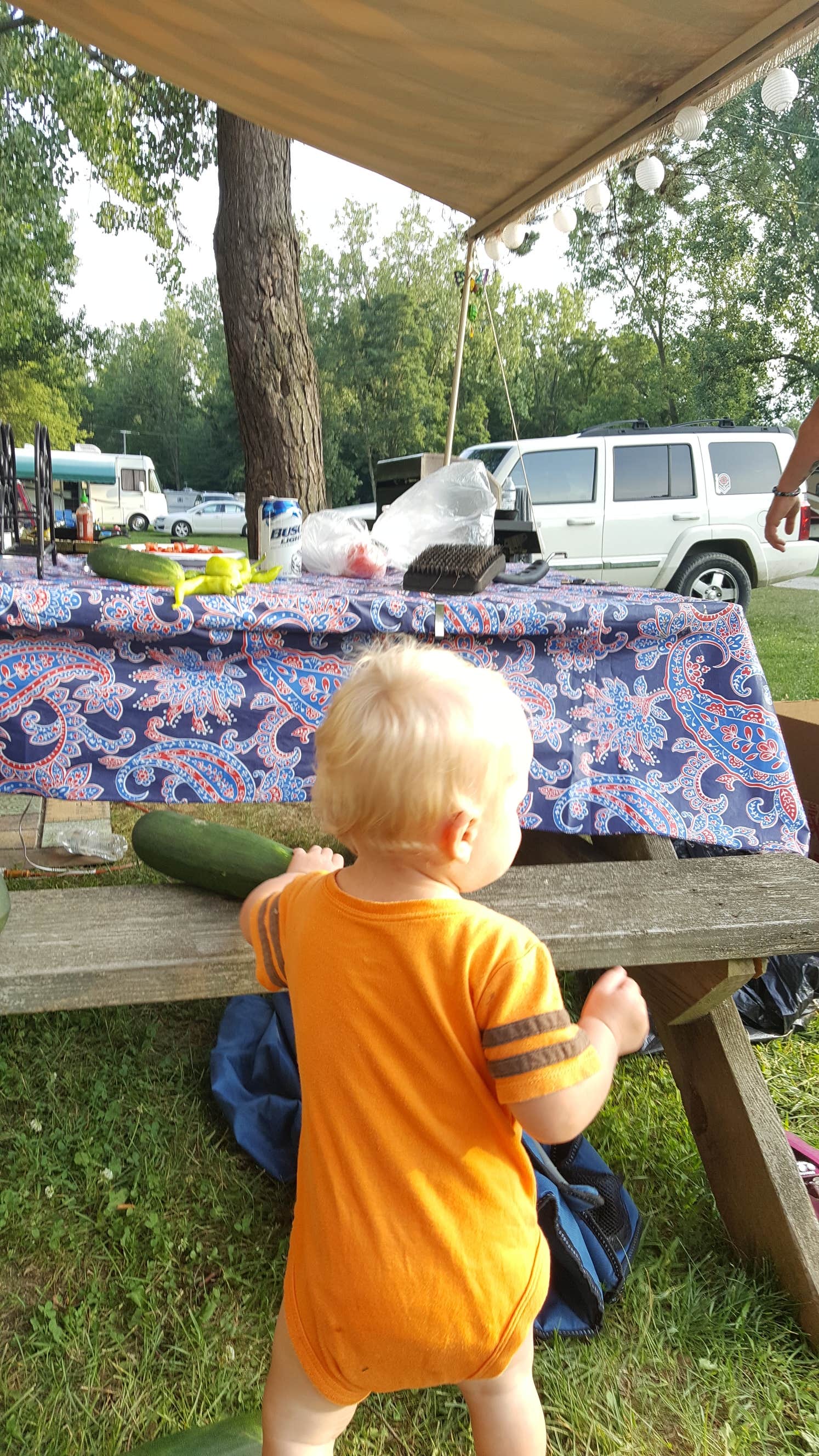 Camper submitted image from Maple Ridge Campground - 2