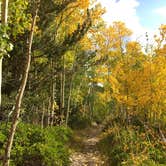 Review photo of Upper Lehman Creek Campground — Great Basin National Park by SwitchbackKids , June 19, 2017