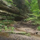 Review photo of Starved Rock Campground — Starved Rock State Park by Brandon E., June 20, 2017
