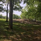 Review photo of Wax - Nolin River Lake by Shelly S., June 20, 2017