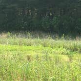 Review photo of Wax - Nolin River Lake by Shelly S., June 20, 2017