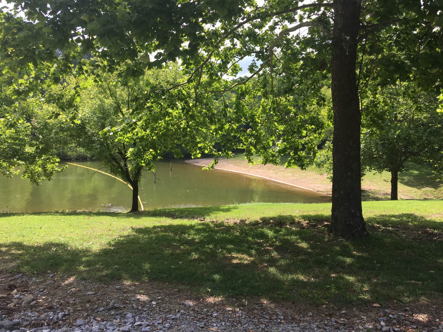 Dog Creek (Ky) The Dyrt