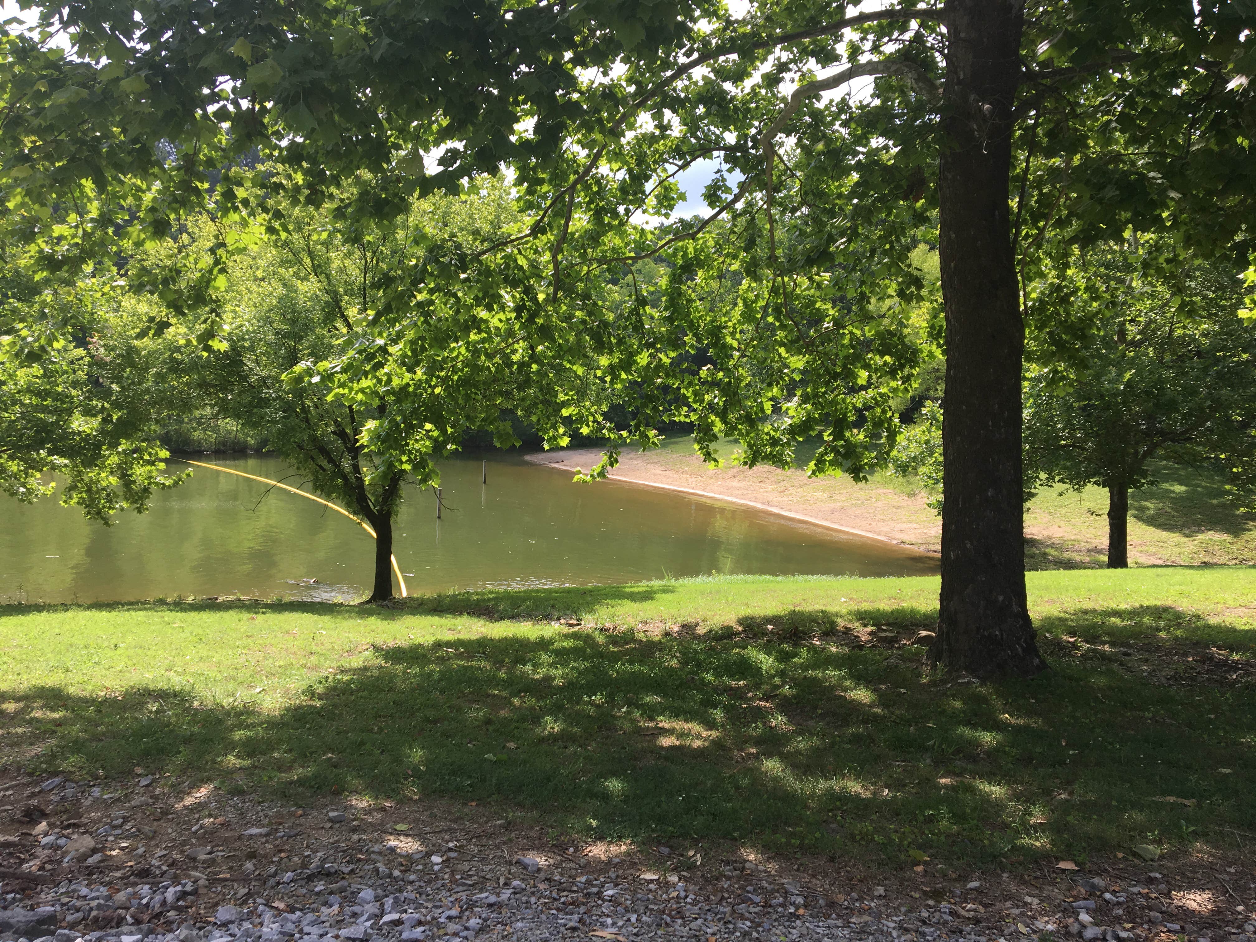 Escape to Kentucky Dog Creek: Where Adventure Meets Tranquility