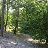 Review photo of Dog Creek Campground by Shelly S., June 20, 2017