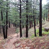 Review photo of North Rim Campground — Grand Canyon National Park by Annie C., June 20, 2017