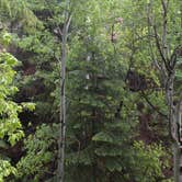 Review photo of North Rim Campground — Grand Canyon National Park by Annie C., June 20, 2017