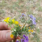 Review photo of Buckeye Hills Regional Park by Scott C., June 20, 2017