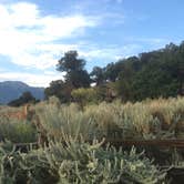 Review photo of The Dunefield — Great Sand Dunes National Park by SwitchbackKids , June 20, 2017