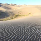 Review photo of The Dunefield — Great Sand Dunes National Park by SwitchbackKids , June 20, 2017
