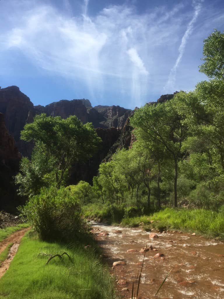 Camper submitted image from Cottonwood Campground — Grand Canyon National Park - 2