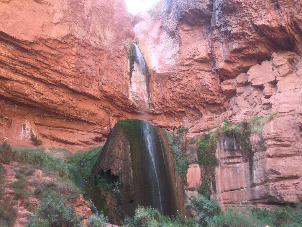 Camper submitted image from Cottonwood Campground — Grand Canyon National Park - 3