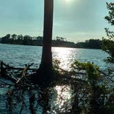 Review photo of Goose Creek State Park Campground by Tim H., June 20, 2017