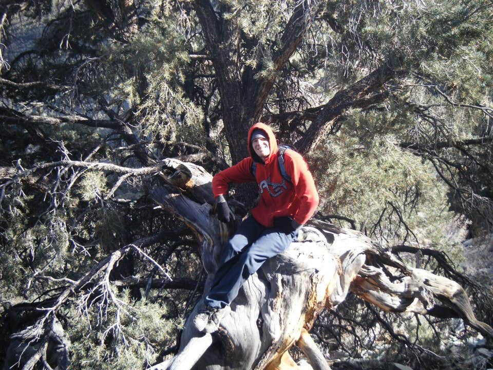Camper submitted image from Mahogany Flat Primitive Campground — Death Valley National Park - 5