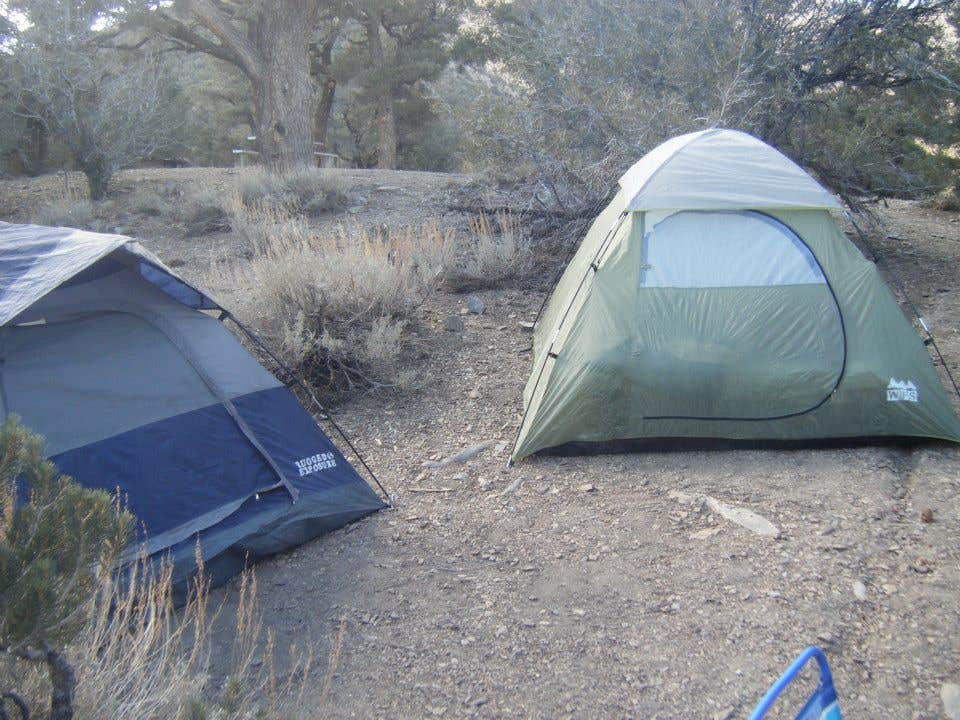 Brittany N.'s photo of tent camping at Mahogany Flat Primitive Campground — Death Valley National Park near Death Valley National Park