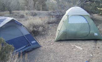 Brittany N.'s photo of tent camping at Mahogany Flat Primitive Campground — Death Valley National Park near Death Valley National Park