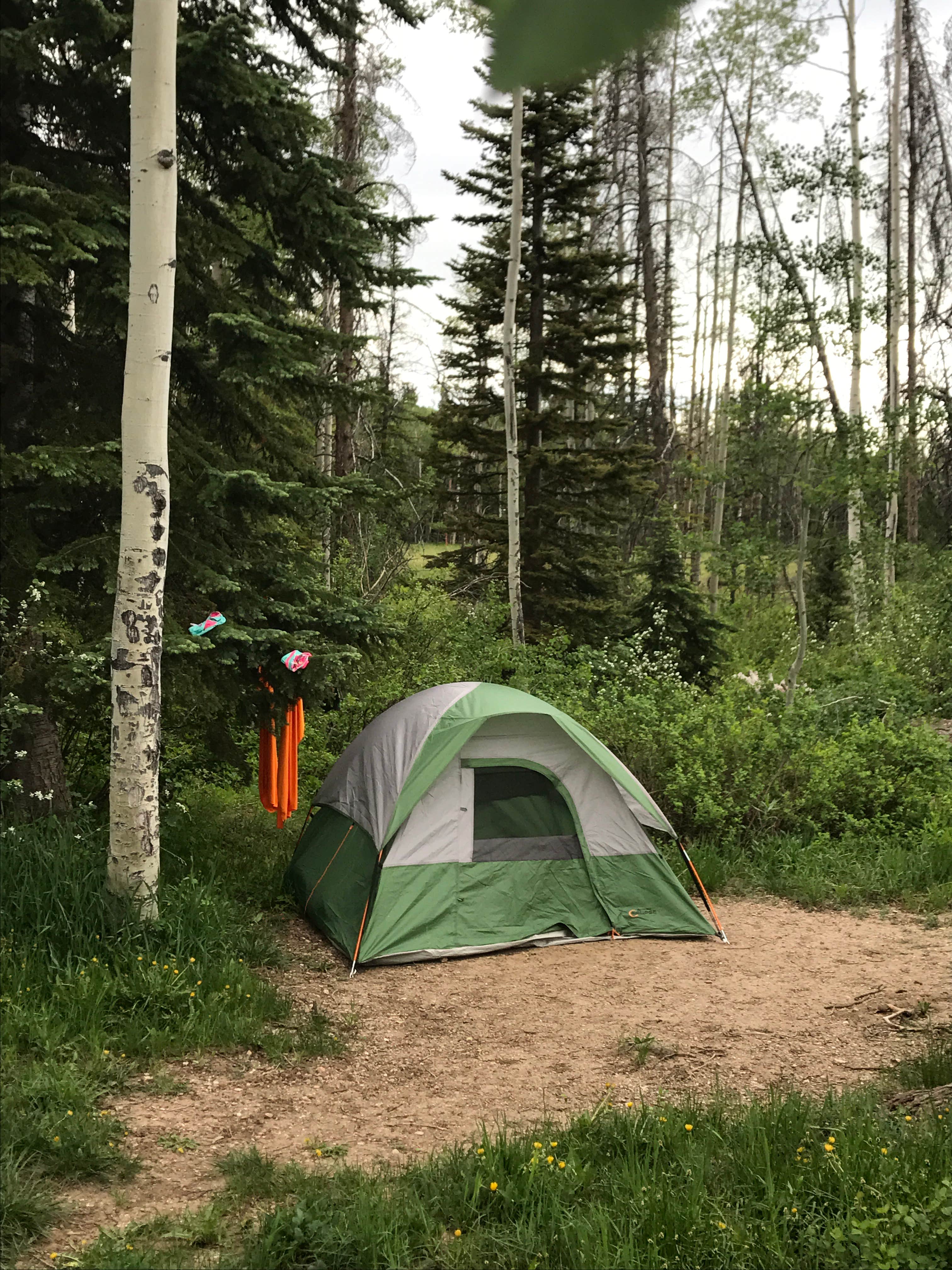 Jason P.'s photo at Dry Lake Campground near Coalmont, CO