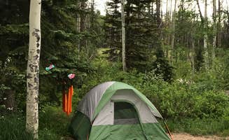 Jason P.'s photo at Dry Lake Campground near Coalmont, CO