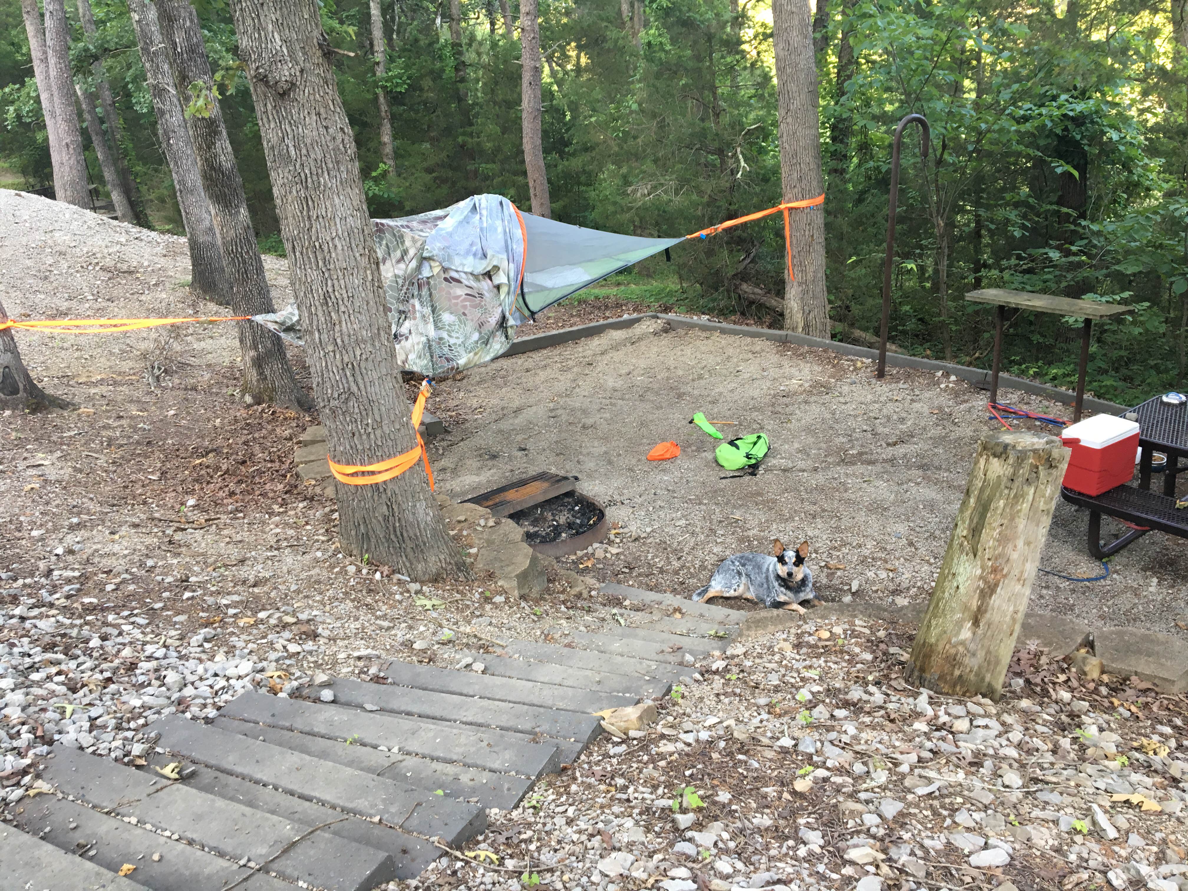 Camper-submitted photo at Moutardier near Horse Cave, KY