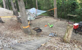 Camping near Mammoth Cave Horse Camp — Mammoth Cave National Park: Moutardier, Sweeden, Kentucky