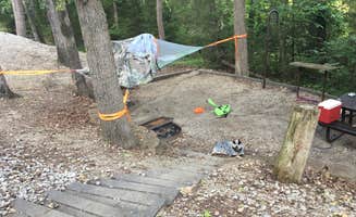 Shelly S.'s photo at Moutardier near Mammoth Cave National Park