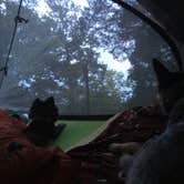Review photo of Moutardier by Shelly S., June 21, 2017