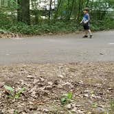 Review photo of McGinnis Lake Modern Campground — Holly Recreation Area by Zachary S., June 21, 2017