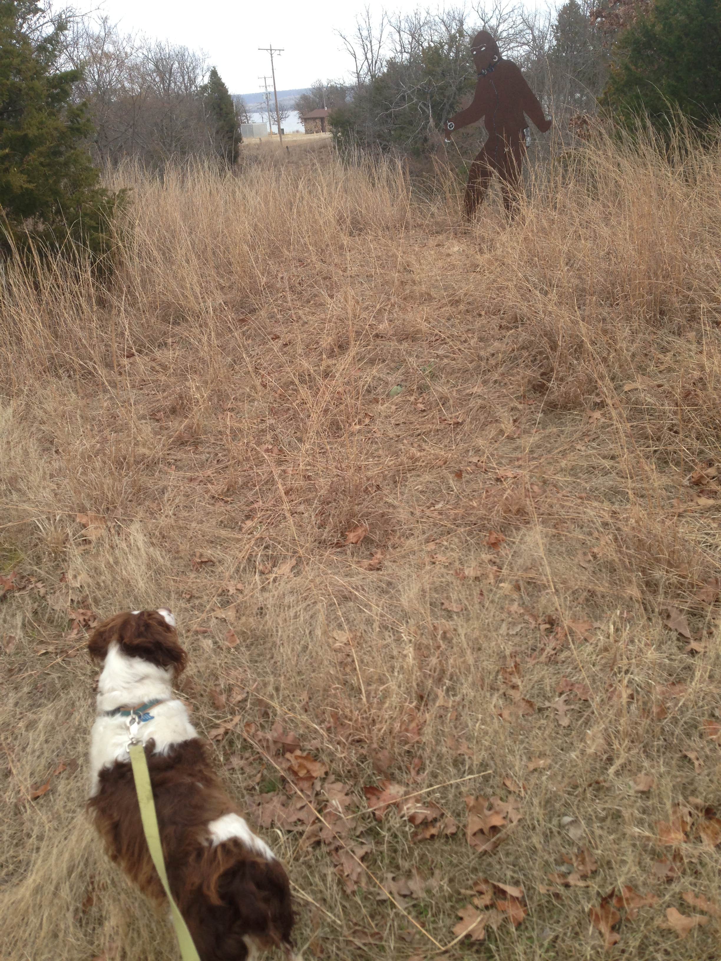 Camper submitted image from Lake Eufaula — Arrowhead State Park - 4