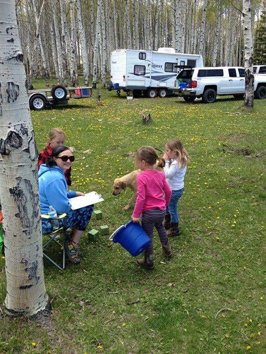 Camper submitted image from Range Study Area - FS Road #217 - 5