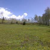 Review photo of Range Study Area - FS Road #217 by Cortney M., June 21, 2017
